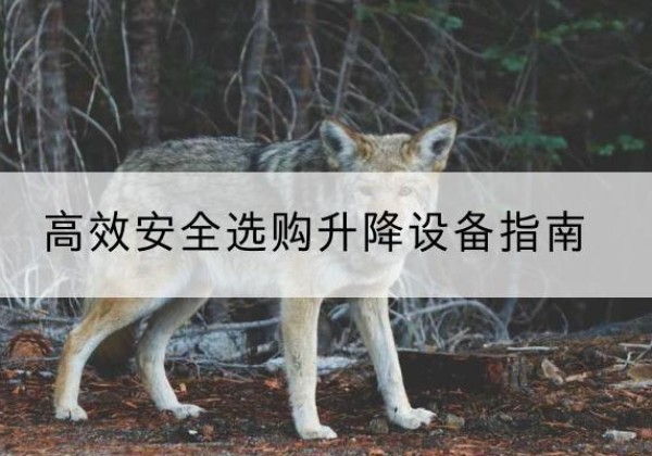 覃塘升降货梯厂家推荐-*安全选购升降设备指南