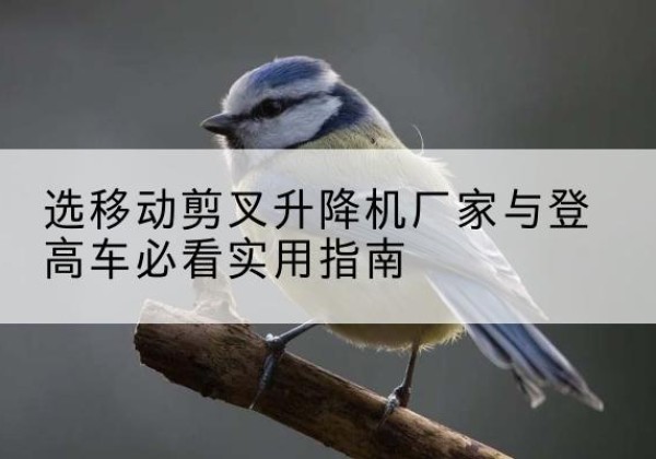 覃塘电动升降机厂家-选移动剪叉升降机厂家与登高车必看实用指南