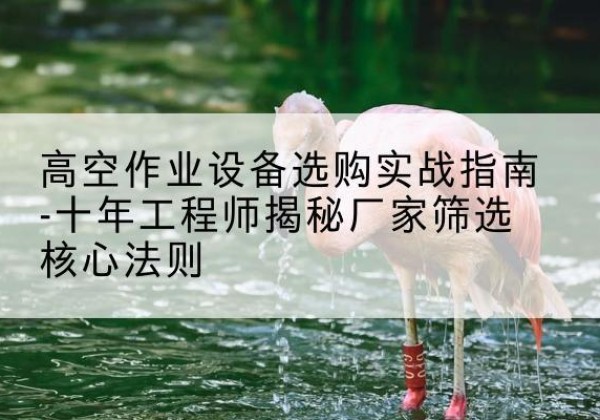 覃塘剪叉式升降机厂家-高空作业设备选购实战指南-十年工程师揭秘厂家筛选核心法则