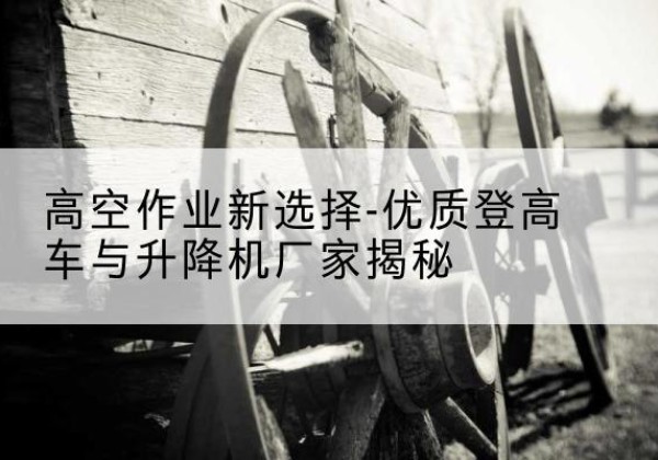 覃塘登高车厂家-高空作业新选择-优质登高车与升降机厂家揭秘